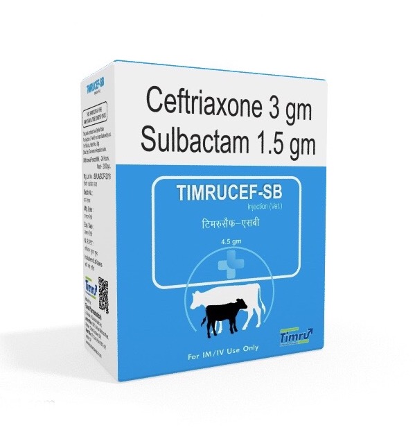 Veterinary Ceftriaxone & Sulbactam Injection
