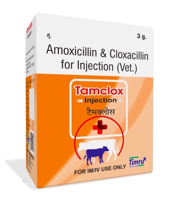 Veterinary AmpicIllin Cloxacillin 3 gm Injection