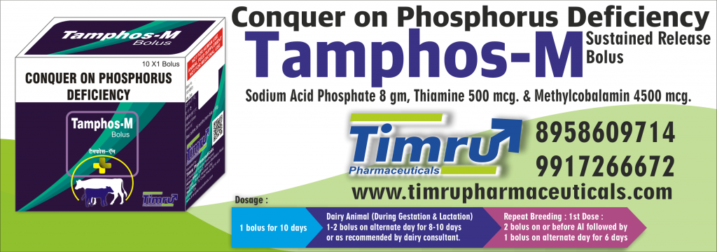 Veterinary Sodium Acid Phosphate, Thiamine & Methylcobalamin Bolus  (TAMPHOS-M) - Timru Pharmaceuticals